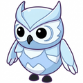 Snow Owl